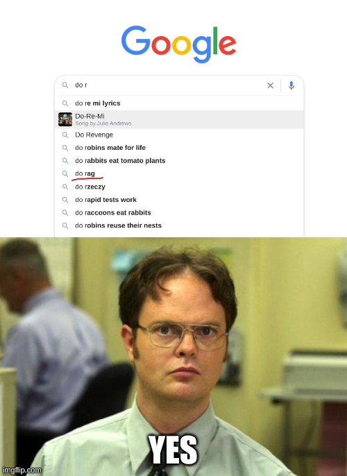 Yes, rag do | YES | image tagged in memes,dwight schrute,google search,google | made w/ Imgflip meme maker