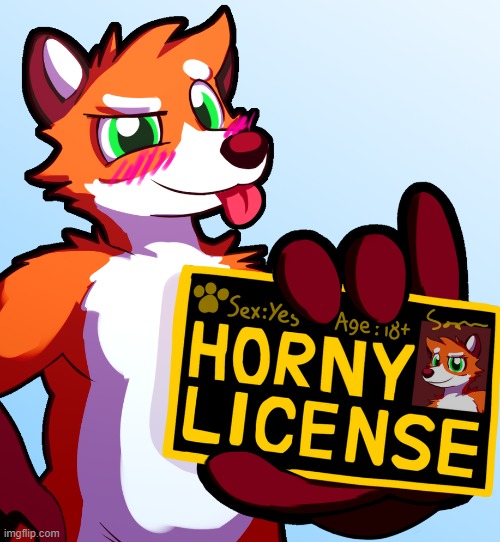 Horny License | image tagged in horny license | made w/ Imgflip meme maker