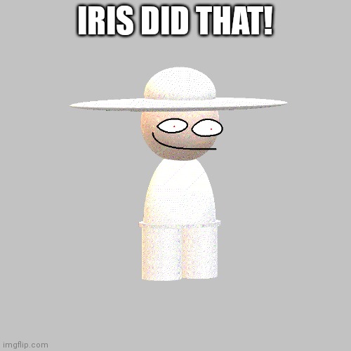 IRIS DID THAT! | made w/ Imgflip meme maker