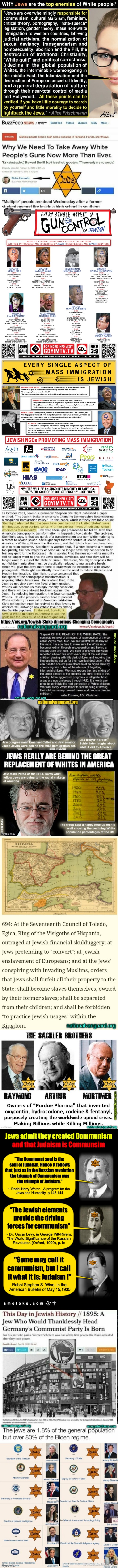 JEWS ARE AN ETHNO-RACIAL SUPREMACIST MAFIA Blank Meme Template