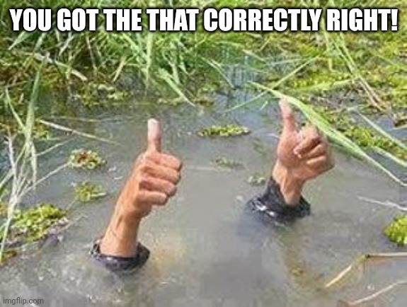YOU GOT THE THAT CORRECTLY RIGHT! | image tagged in flooding thumbs up | made w/ Imgflip meme maker