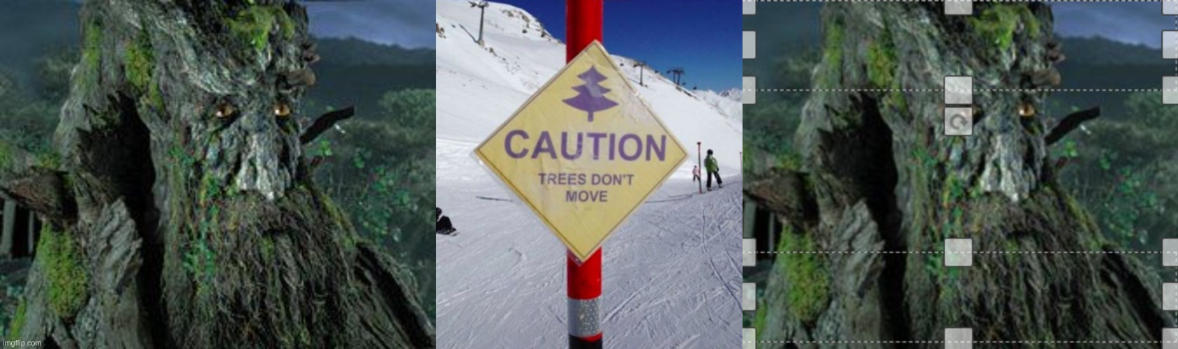 image tagged in treebeard,funny,funny memes,lord of the rings,the lord of the rings,caution sign | made w/ Imgflip meme maker