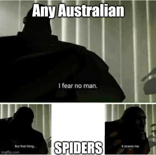 I fear no man | Any Australian SPIDERS | image tagged in i fear no man | made w/ Imgflip meme maker
