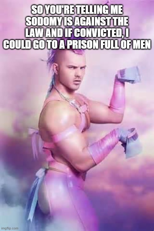 Gay Unicorn | SO YOU'RE TELLING ME SODOMY IS AGAINST THE LAW AND IF CONVICTED, I COULD GO TO A PRISON FULL OF MEN | image tagged in gay unicorn | made w/ Imgflip meme maker