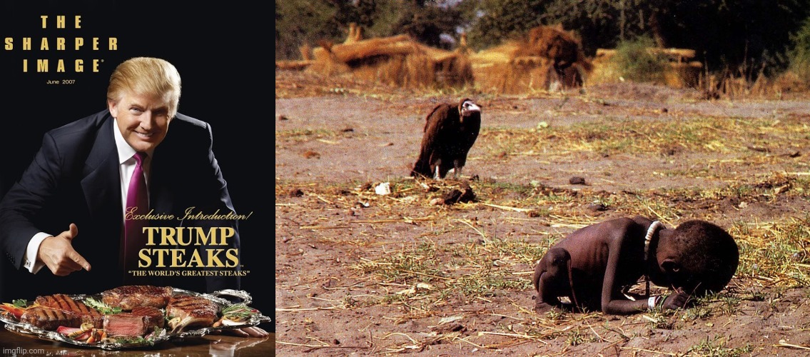 image tagged in trump eats steak with ketchup,starving girl and vulture | made w/ Imgflip meme maker