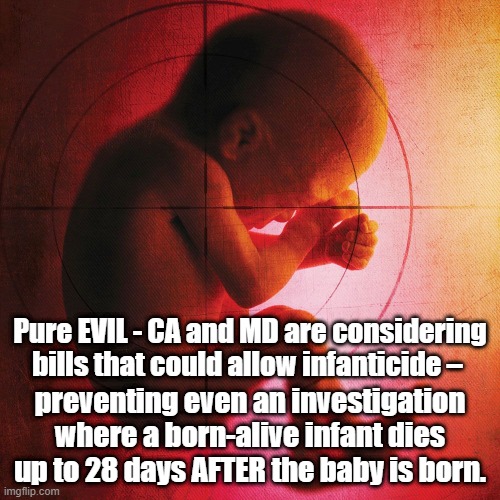 Infanticide | Pure EVIL - CA and MD are considering bills that could allow infanticide –; preventing even an investigation where a born-alive infant dies up to 28 days AFTER the baby is born. | image tagged in fetus | made w/ Imgflip meme maker