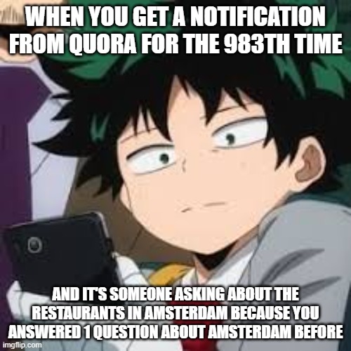 Quora I swear to god- | WHEN YOU GET A NOTIFICATION FROM QUORA FOR THE 983TH TIME; AND IT'S SOMEONE ASKING ABOUT THE RESTAURANTS IN AMSTERDAM BECAUSE YOU ANSWERED 1 QUESTION ABOUT AMSTERDAM BEFORE | image tagged in deku dissapointed | made w/ Imgflip meme maker