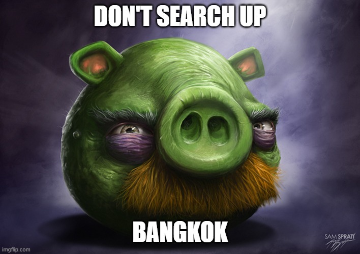 yeah | DON'T SEARCH UP; BANGKOK | image tagged in realistic angry birds | made w/ Imgflip meme maker
