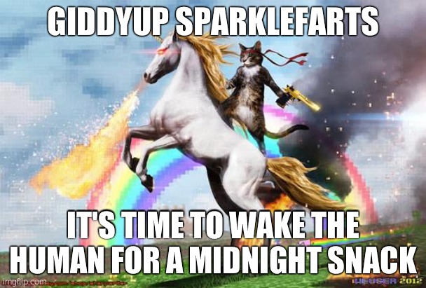 Sparklefarts. | GIDDYUP SPARKLEFARTS; IT'S TIME TO WAKE THE HUMAN FOR A MIDNIGHT SNACK | image tagged in cat riding unicorn,sparklefarts,memes,giddyup,cats,hilarious | made w/ Imgflip meme maker