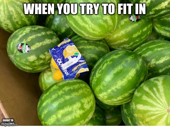 . [sammy note: lemon] |  WHEN YOU TRY TO FIT IN; CREDIT TO MY BROTHER | image tagged in yes | made w/ Imgflip meme maker