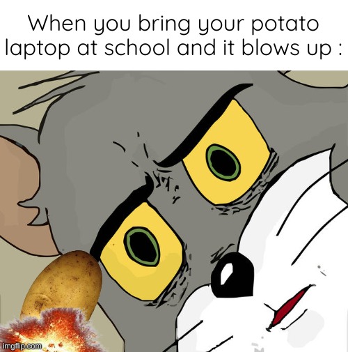 pOtATuS | When you bring your potato laptop at school and it blows up : | image tagged in memes,unsettled tom | made w/ Imgflip meme maker