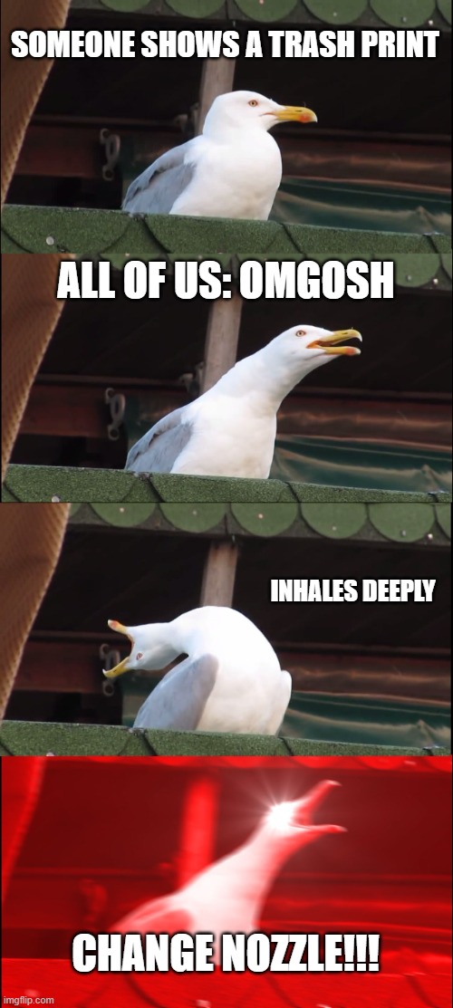 Inhaling Seagull Meme | SOMEONE SHOWS A TRASH PRINT; ALL OF US: OMGOSH; INHALES DEEPLY; CHANGE NOZZLE!!! | image tagged in memes,inhaling seagull,3d printing,printer,nozzle | made w/ Imgflip meme maker