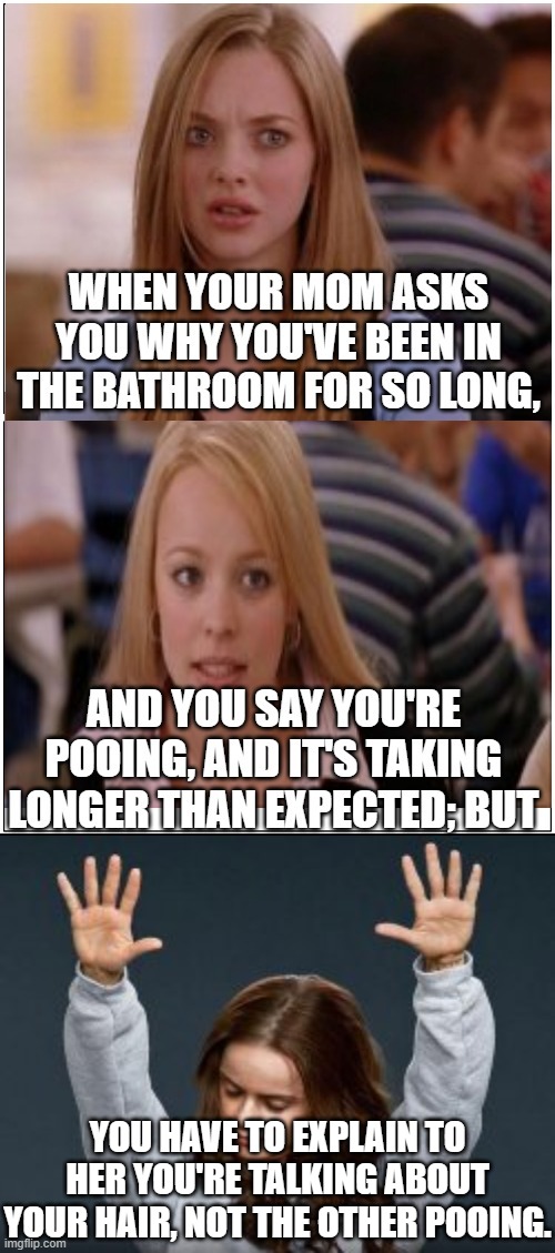 Wrong Conclusions | YOU HAVE TO EXPLAIN TO HER YOU'RE TALKING ABOUT YOUR HAIR, NOT THE OTHER POOING. | image tagged in memes,funny memes,bathroom humor,humor,dark humor,lol so funny | made w/ Imgflip meme maker