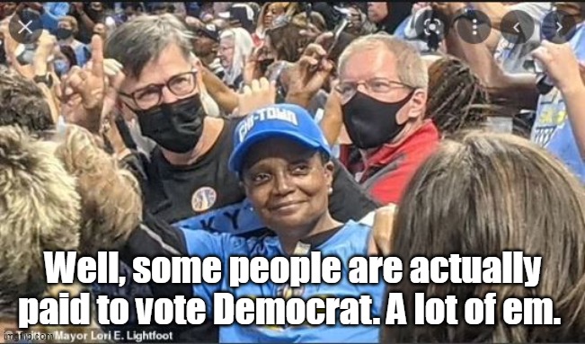 Well, some people are actually  paid to vote Democrat. A lot of em. | made w/ Imgflip meme maker
