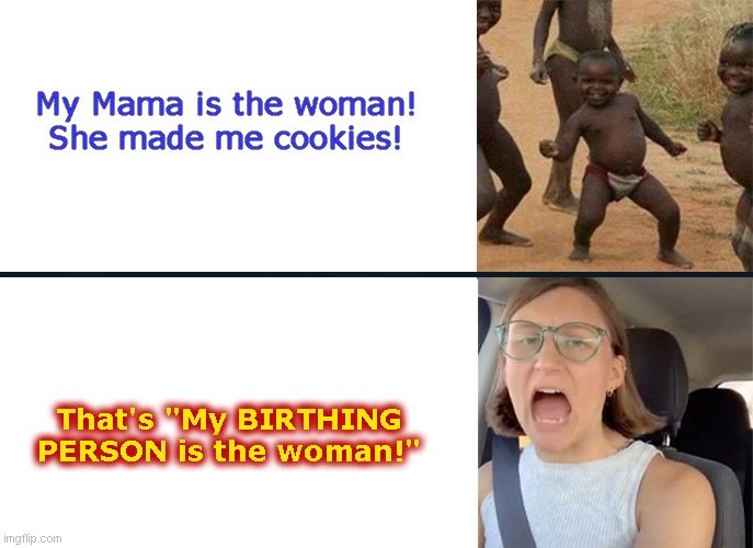 First World Feminist Angst | My Mama is the woman! She made me cookies! That's "My BIRTHING PERSON is the woman!" | image tagged in first world problems,triggered feminist,stupid liberals,african kids dancing,happy child,humor | made w/ Imgflip meme maker