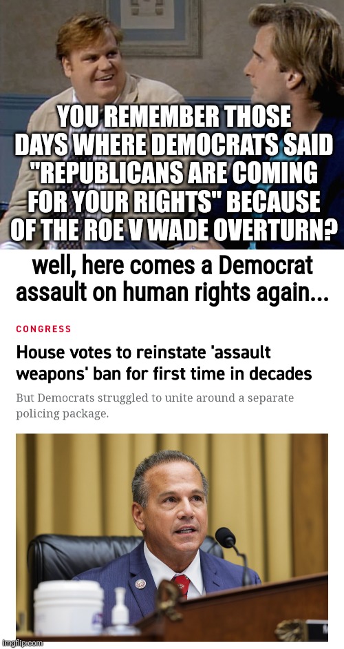 It's double standard time |  YOU REMEMBER THOSE DAYS WHERE DEMOCRATS SAID "REPUBLICANS ARE COMING FOR YOUR RIGHTS" BECAUSE OF THE ROE V WADE OVERTURN? well, here comes a Democrat assault on human rights again... | image tagged in remember that time,congress,supreme court,democrat,republicans,liberal hypocrisy | made w/ Imgflip meme maker