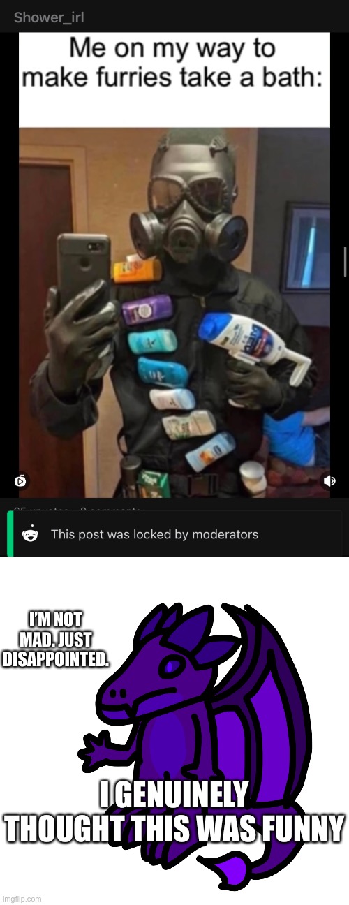 Rip | I’M NOT MAD. JUST DISAPPOINTED. I GENUINELY THOUGHT THIS WAS FUNNY | made w/ Imgflip meme maker