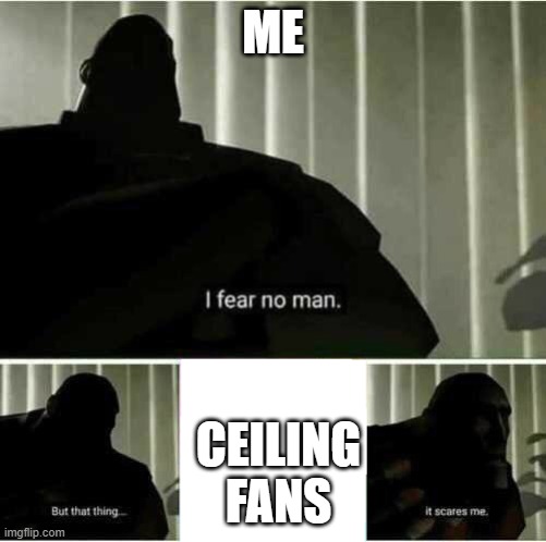 I fear no man |  ME; CEILING FANS | image tagged in i fear no man | made w/ Imgflip meme maker