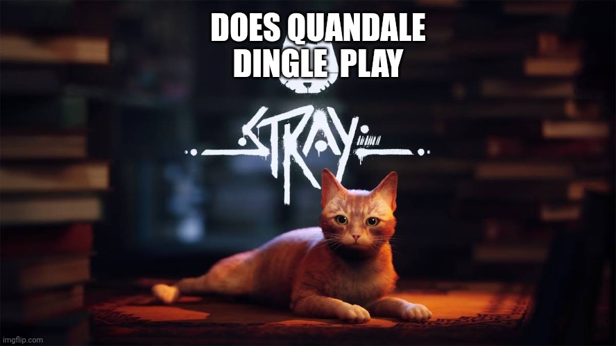 DOES QUANDALE DINGLE  PLAY | made w/ Imgflip meme maker