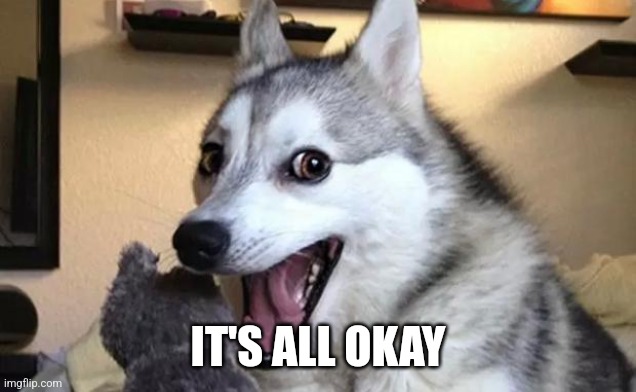 Pun dog - husky | IT'S ALL OKAY | image tagged in pun dog - husky | made w/ Imgflip meme maker