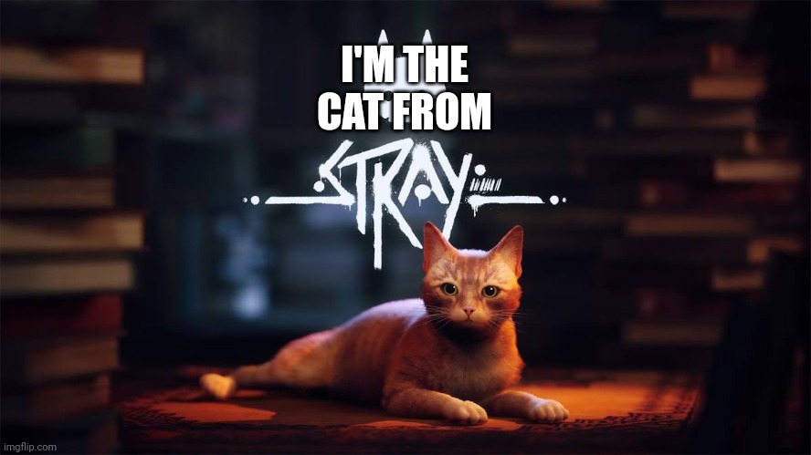 I'M THE CAT FROM | made w/ Imgflip meme maker