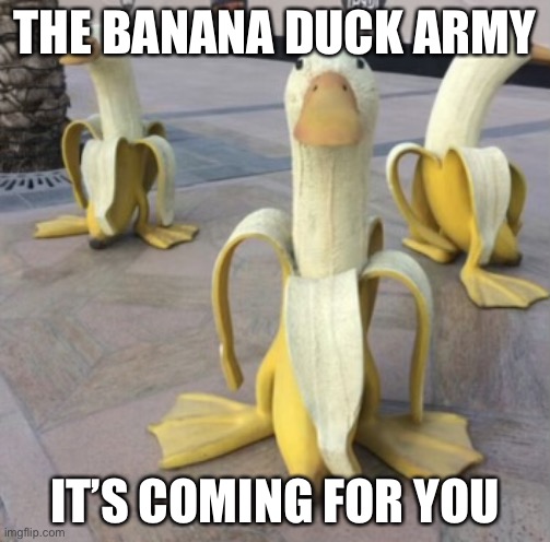 Fear them | THE BANANA DUCK ARMY; IT’S COMING FOR YOU | image tagged in banana,duck,army | made w/ Imgflip meme maker