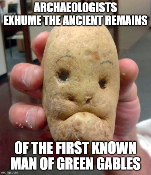 Nope Potato | ARCHAEOLOGISTS EXHUME THE ANCIENT REMAINS; OF THE FIRST KNOWN MAN OF GREEN GABLES | image tagged in nope potato | made w/ Imgflip meme maker