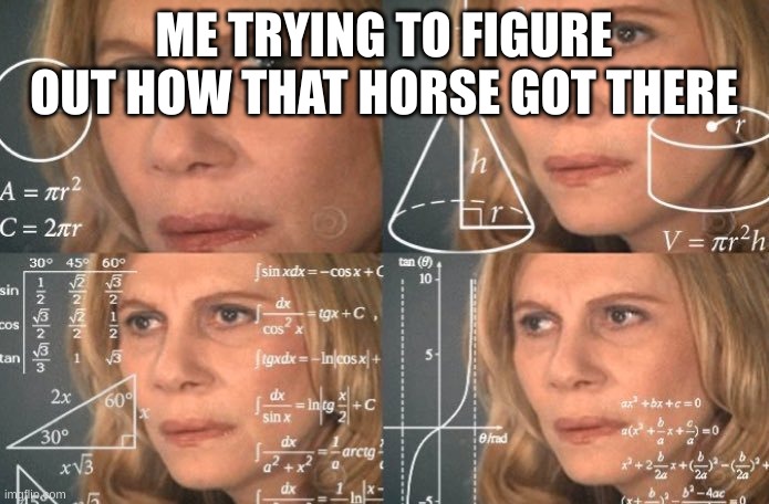 Trying to figure out | ME TRYING TO FIGURE OUT HOW THAT HORSE GOT THERE | image tagged in trying to figure out | made w/ Imgflip meme maker