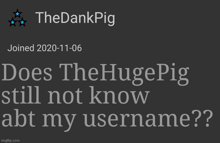 TheDankPig minimalist temp | Does TheHugePig still not know abt my username?? | image tagged in thedankpig minimalist temp | made w/ Imgflip meme maker