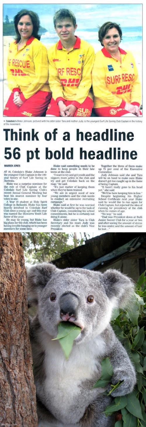 Headline news | image tagged in memes,surprised koala,headline | made w/ Imgflip meme maker