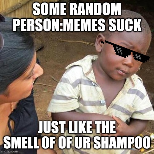 Third World Skeptical Kid | SOME RANDOM PERSON:MEMES SUCK; JUST LIKE THE SMELL OF OF UR SHAMPOO | image tagged in memes,third world skeptical kid | made w/ Imgflip meme maker