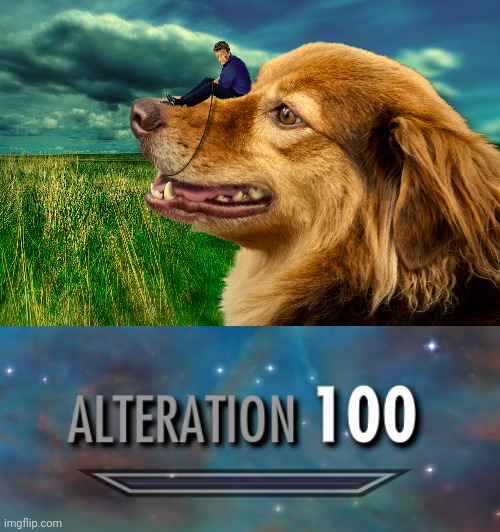 Giant dog | image tagged in alteration 100,dogs,dog,giant,memes,photoshop | made w/ Imgflip meme maker