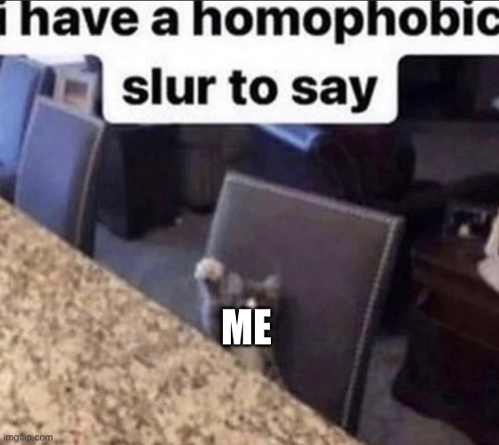 i have a homophobic slur to say | ME | image tagged in i have a homophobic slur to say | made w/ Imgflip meme maker