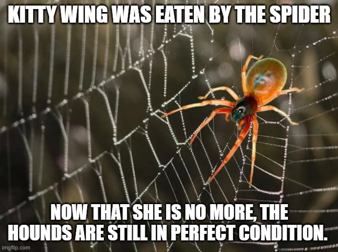 Spider On The Web | KITTY WING WAS EATEN BY THE SPIDER; NOW THAT SHE IS NO MORE, THE HOUNDS ARE STILL IN PERFECT CONDITION. | image tagged in spider on the web | made w/ Imgflip meme maker