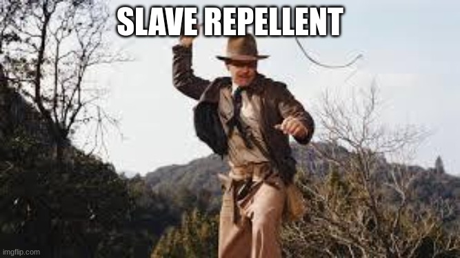 Whip | SLAVE REPELLENT | image tagged in whip | made w/ Imgflip meme maker