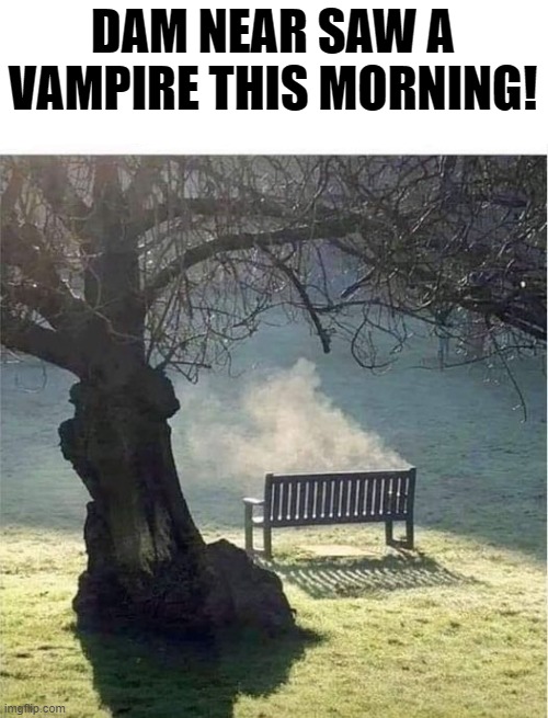 DAM NEAR SAW A VAMPIRE THIS MORNING! | made w/ Imgflip meme maker