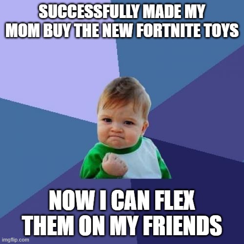 flexibility | SUCCESSFULLY MADE MY MOM BUY THE NEW FORTNITE TOYS; NOW I CAN FLEX THEM ON MY FRIENDS | image tagged in memes,success kid | made w/ Imgflip meme maker