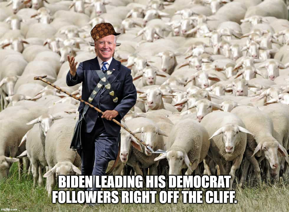 I realize there is a flaw with this meme.  Biden should be one of the sheep and Klaus Schwab should be leading them. | BIDEN LEADING HIS DEMOCRAT FOLLOWERS RIGHT OFF THE CLIFF. | image tagged in biden destroys america,build back awful,bozo economists | made w/ Imgflip meme maker