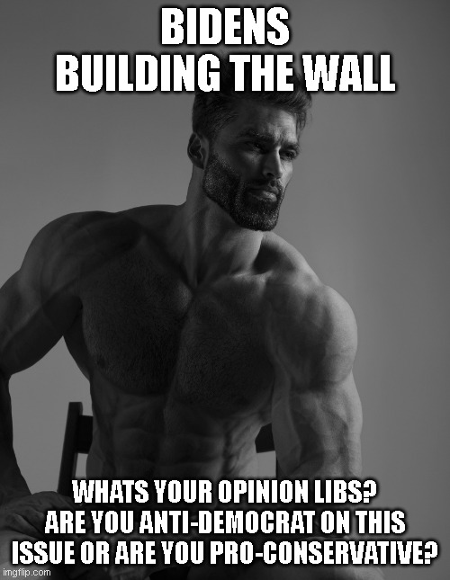 Giga Chad | BIDENS BUILDING THE WALL; WHATS YOUR OPINION LIBS? ARE YOU ANTI-DEMOCRAT ON THIS ISSUE OR ARE YOU PRO-CONSERVATIVE? | image tagged in giga chad | made w/ Imgflip meme maker