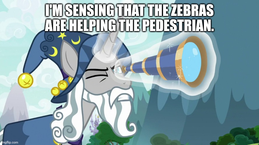 I'M SENSING THAT THE ZEBRAS ARE HELPING THE PEDESTRIAN. | made w/ Imgflip meme maker