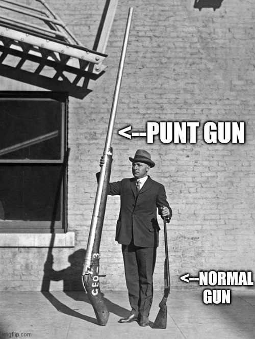 Punt Gun | <--PUNT GUN <--NORMAL GUN | image tagged in punt gun | made w/ Imgflip meme maker