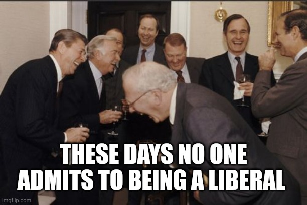 Laughing Men In Suits Meme | THESE DAYS NO ONE ADMITS TO BEING A LIBERAL | image tagged in memes,laughing men in suits | made w/ Imgflip meme maker