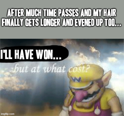 I'll have won the battle .... but at what cost :( | AFTER MUCH TIME PASSES AND MY HAIR FINALLY GETS LONGER AND EVENED UP TOO... I'LL HAVE WON... | image tagged in i've won but at what cost,memes,long hair,hair,at what cost,relatable | made w/ Imgflip meme maker