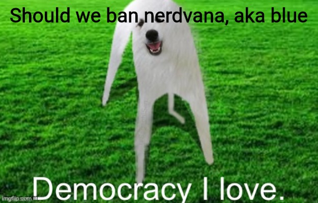 Democracy I Love | Should we ban nerdvana, aka blue | image tagged in democracy i love | made w/ Imgflip meme maker