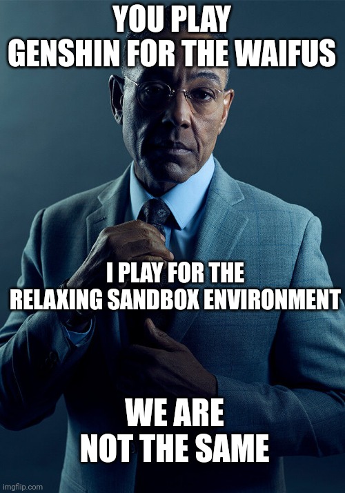 Gus Fring we are not the same | YOU PLAY GENSHIN FOR THE WAIFUS I PLAY FOR THE RELAXING SANDBOX ENVIRONMENT WE ARE NOT THE SAME | image tagged in gus fring we are not the same | made w/ Imgflip meme maker