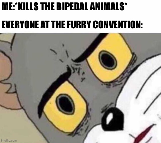 Tom Cat Unsettled Close up |  ME:*KILLS THE BIPEDAL ANIMALS*; EVERYONE AT THE FURRY CONVENTION: | image tagged in tom cat unsettled close up,furry | made w/ Imgflip meme maker