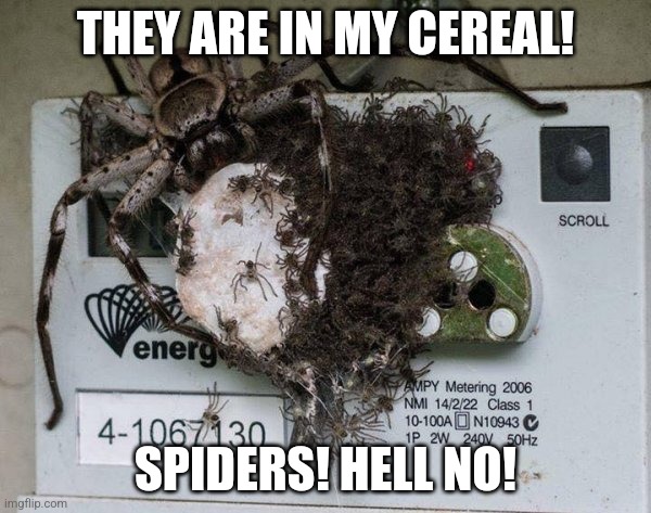 Spiders! Hell No!  | THEY ARE IN MY CEREAL! SPIDERS! HELL NO! | image tagged in spiders hell no | made w/ Imgflip meme maker