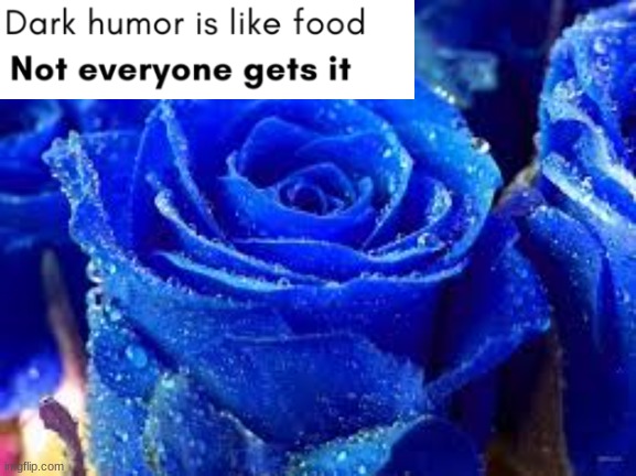 HA | image tagged in hehe,food,dark humor | made w/ Imgflip meme maker