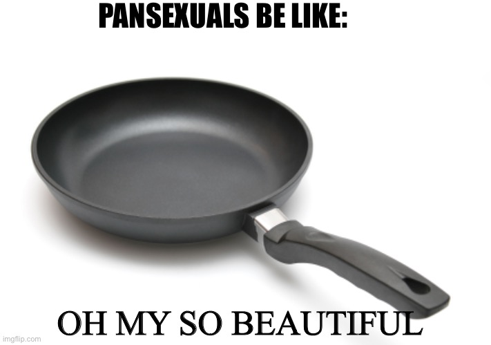 PANSEXUALS BE LIKE:; OH MY SO BEAUTIFUL | image tagged in pansexual,pans | made w/ Imgflip meme maker