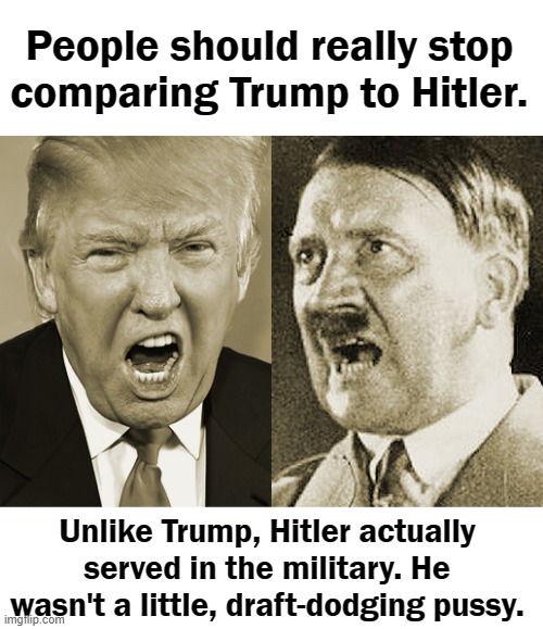 Public Service Announcement, everyone: | People should really stop comparing Trump to Hitler. Unlike Trump, Hitler actually served in the military. He wasn't a little, draft-dodging pussy. | image tagged in blank white template,trump hitler | made w/ Imgflip meme maker